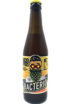 Foto de Bacterio Trigonomtrica, en Lpulo y Amn Cervezas